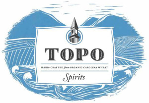 TOPO Logo